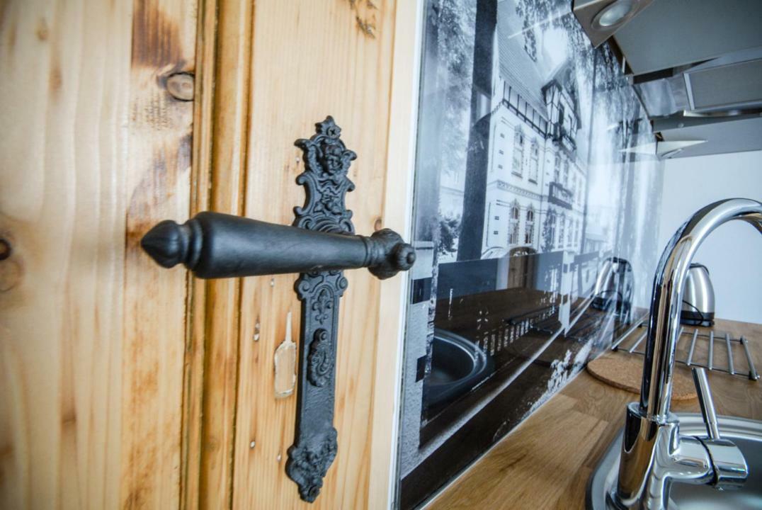 Ferienwohnung Franciszek Przy Parku Szwedzkim Bad Salzbrunn Exterior foto